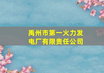 禹州市第一火力发电厂有限责任公司