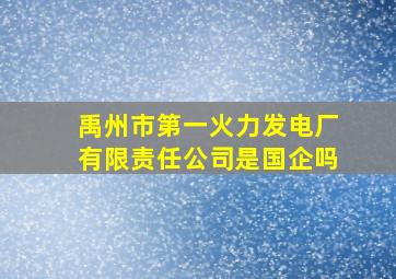 禹州市第一火力发电厂有限责任公司是国企吗