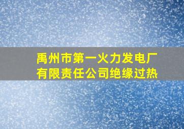 禹州市第一火力发电厂有限责任公司绝缘过热