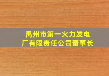 禹州市第一火力发电厂有限责任公司董事长