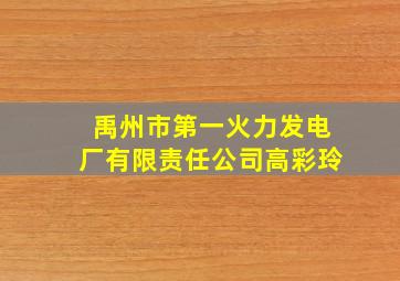 禹州市第一火力发电厂有限责任公司高彩玲