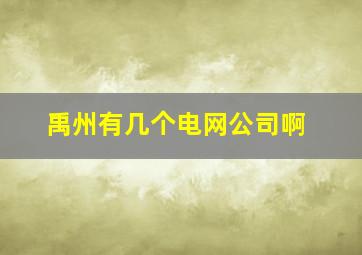 禹州有几个电网公司啊