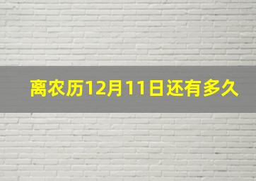 离农历12月11日还有多久