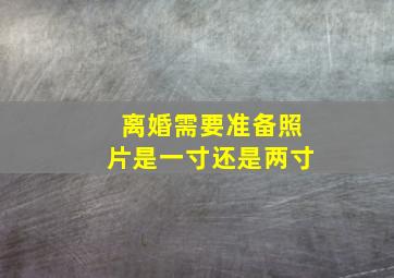 离婚需要准备照片是一寸还是两寸