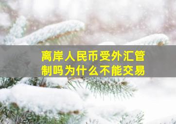 离岸人民币受外汇管制吗为什么不能交易