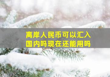 离岸人民币可以汇入国内吗现在还能用吗