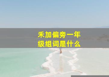 禾加偏旁一年级组词是什么