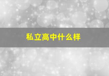 私立高中什么样