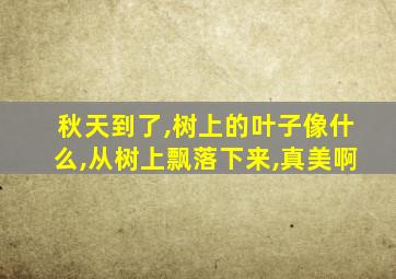 秋天到了,树上的叶子像什么,从树上飘落下来,真美啊