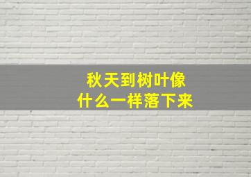 秋天到树叶像什么一样落下来