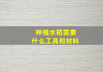 种植水稻需要什么工具和材料