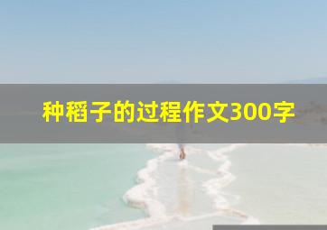 种稻子的过程作文300字