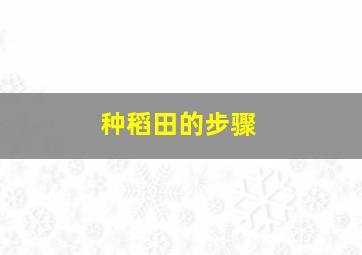 种稻田的步骤