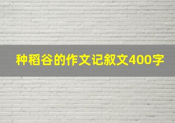 种稻谷的作文记叙文400字