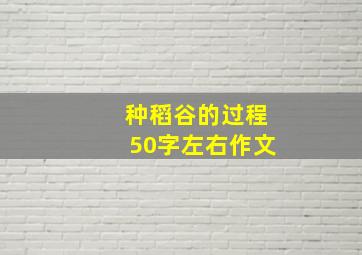 种稻谷的过程50字左右作文