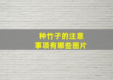 种竹子的注意事项有哪些图片