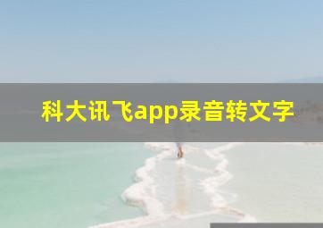 科大讯飞app录音转文字