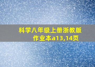 科学八年级上册浙教版作业本a13,14页