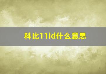 科比11id什么意思