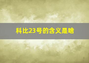 科比23号的含义是啥