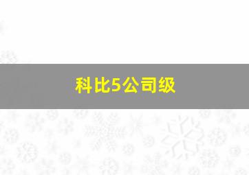 科比5公司级