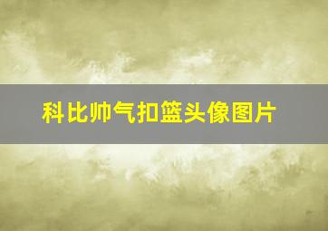 科比帅气扣篮头像图片