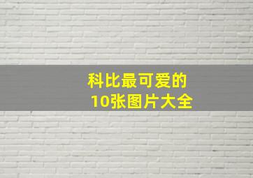 科比最可爱的10张图片大全