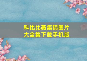 科比比赛集锦图片大全集下载手机版