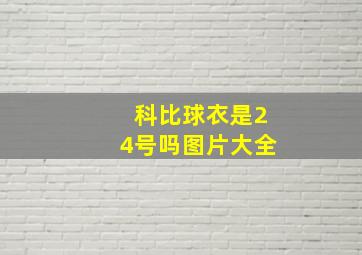 科比球衣是24号吗图片大全