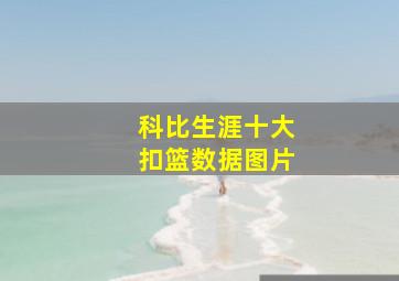 科比生涯十大扣篮数据图片