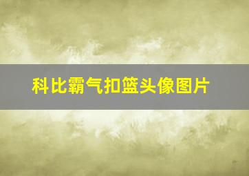 科比霸气扣篮头像图片