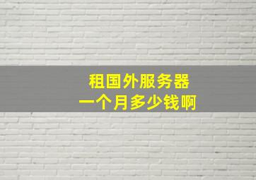 租国外服务器一个月多少钱啊