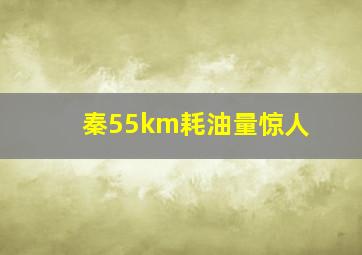 秦55km耗油量惊人