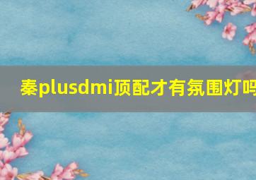 秦plusdmi顶配才有氛围灯吗