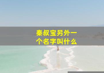 秦叔宝另外一个名字叫什么