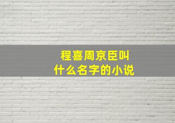 程喜周京臣叫什么名字的小说