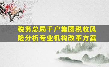 税务总局千户集团税收风险分析专业机构改革方案