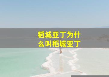 稻城亚丁为什么叫稻城亚丁