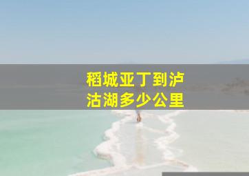 稻城亚丁到泸沽湖多少公里