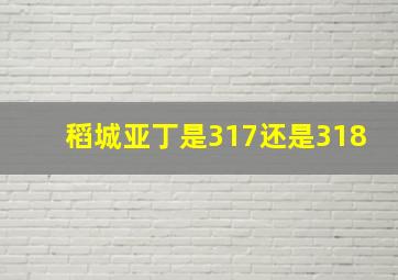 稻城亚丁是317还是318