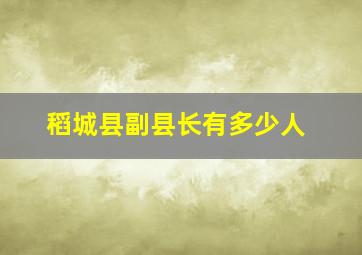 稻城县副县长有多少人