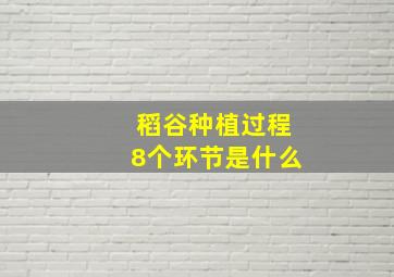 稻谷种植过程8个环节是什么