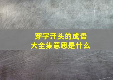 穿字开头的成语大全集意思是什么