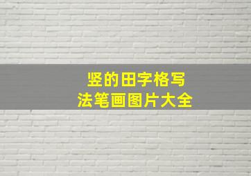 竖的田字格写法笔画图片大全