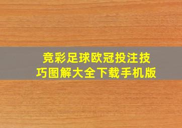 竞彩足球欧冠投注技巧图解大全下载手机版