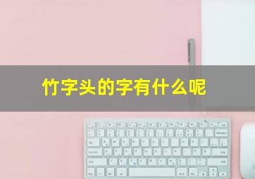 竹字头的字有什么呢