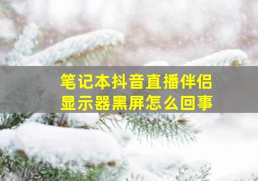 笔记本抖音直播伴侣显示器黑屏怎么回事