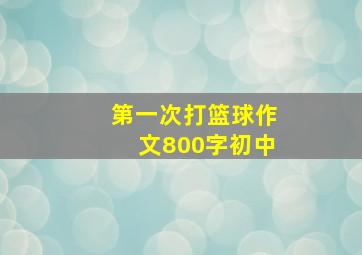 第一次打篮球作文800字初中