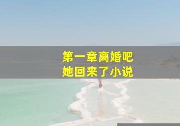 第一章离婚吧她回来了小说