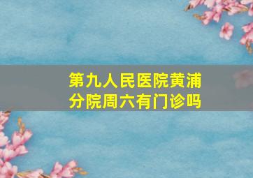 第九人民医院黄浦分院周六有门诊吗